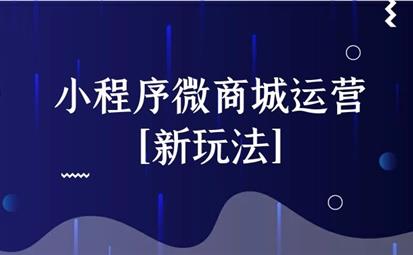 小程序微商城運(yùn)營(yíng)[新玩法]_網(wǎng)站建設(shè)思樂科技